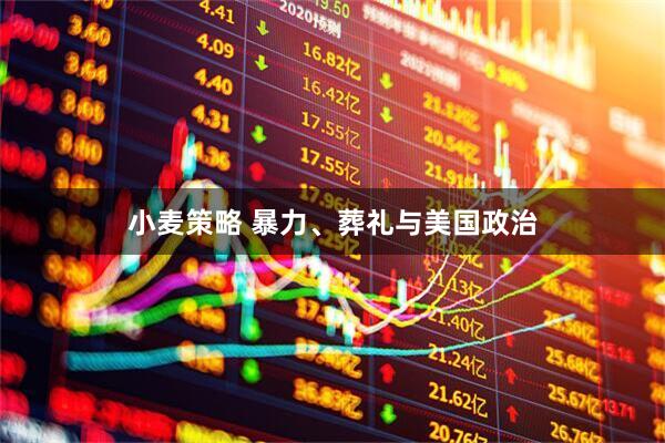 小麦策略 暴力、葬礼与美国政治