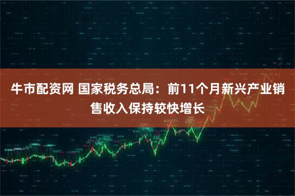 牛市配资网 国家税务总局:前11个月新兴产业销售收入保持较快增长